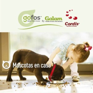 GOFOS ™ contribuye a que los alimentos sean más saludables para las mascotas