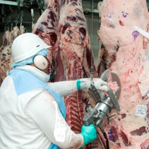 Argentina: Exportaciones de Carne Vacuna Febrero de 2020
