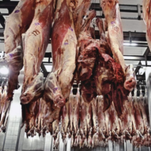 Carne: un Récord Exportador con Menores Precios desde 2009