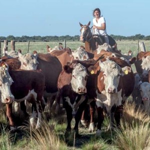 El Ministerio de Agricultura y FAO Argentina expusieron sobre sistemas alimentarios más inclusivos
