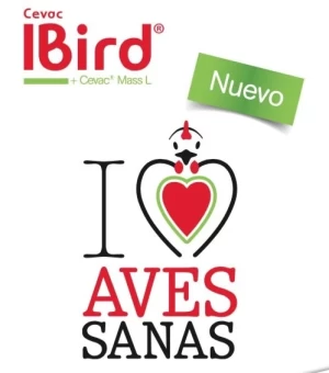 CONTROL DE BRONQUITIS INFECCIOSA AVIAR DESDE EL PRIMER DÍA DE VIDA CON CEVAC® IBIRD + CEVAC® MASS L