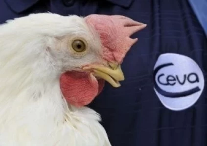 CEVA SALUD ANIMAL: LÍDER EN AVICULTURA