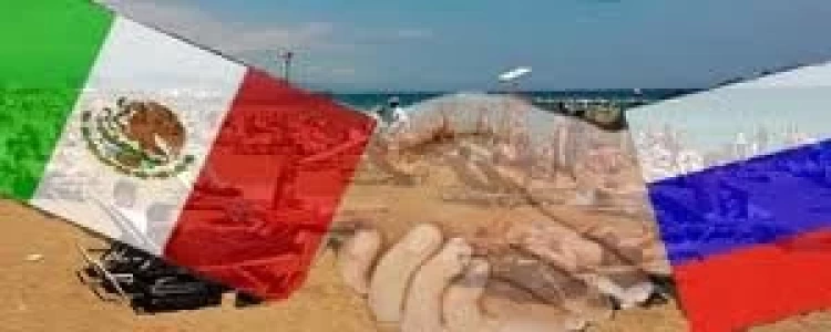 MEXICO Y RUSIA ANALIZAN EL PROTOCOLO SANITARIO PARA LA EXPORTACION DE CARNE 