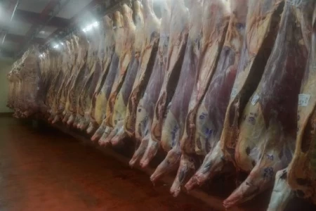 AGROINDUSTRIA ESTABLECE EL PROCEDIMIENTO PARA ACCEDER A LA CUOTA HILTON PARA EL PERÍODO 2018/2019