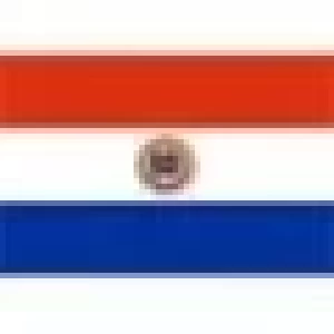PARAGUAY: MAS CARNE EXPORTADA EN 2012