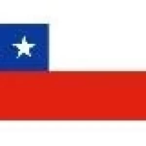 CHILE: CONSTRUIRAN PLANTEL DE PRODUCCION DE CERDOS PREMIUM