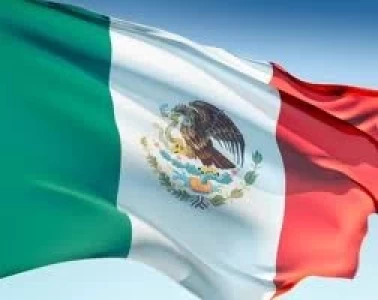  SE REDUJO EL CONSUMO DE CARNE DE CERDO EN MÉXICO