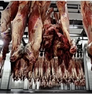 POR CHINA, LAS EXPORTACIONES DE CARNE VACUNA SE UBICARON EN EL MAYOR NIVEL DE LOS ÚLTIMOS OCHO AÑOS