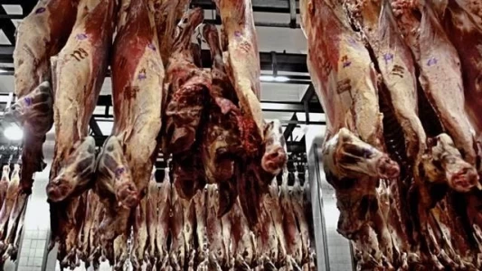 ARGENTINA: DESPUÉS DE SIETE AÑOS, EL PAÍS VOLVERÍA AL TOP TEN DE EXPORTADORES DE CARNE