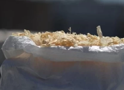 CONVERTIRÁN DESECHOS DE LANGOSTINOS EN PRODUCTOS DE VALOR AGREGADO