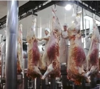 ARGENTINA: LAS EXPORTACIONES DE CARNE AUMENTAN MÁS DE 30% EN 2017
