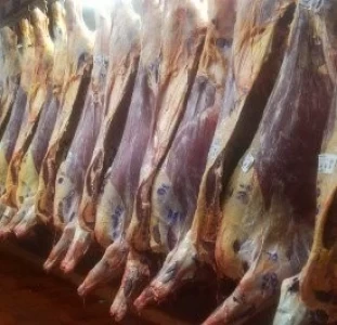 AGROINDUSTRIA Y AFIP UNIDOS CONTRA LA EVASIÓN EN LA CADENA CÁRNICA