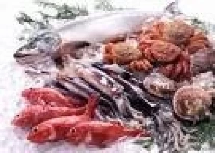 CANADA ESPERA ELEVAR LAS EXPORTACIONES DE PESCADOS Y MARISCOS A MEXICO