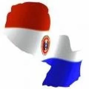PARAGUAY: RUSIA QUIERE MAS VARIEDAD DE CARNES