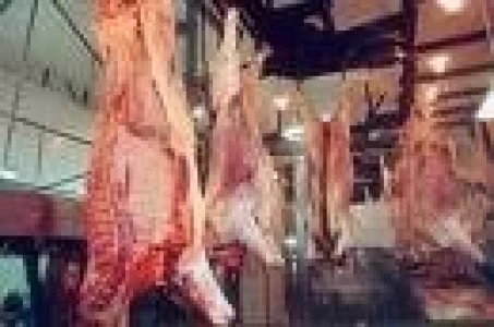 ARGENTINA: SE REPARTIO EL 10 % DE LA CUOTA HILTON