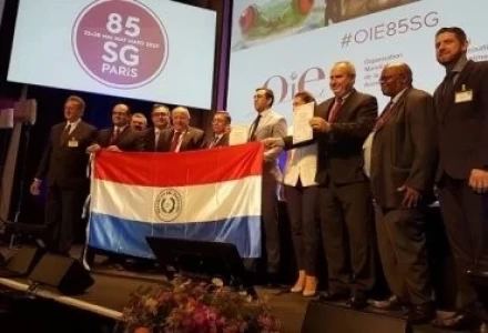 OIE DECLARÓ A PARAGUAY COMO PAÍS LIBRE DE AFTOSA Y PESTE PORCINA	