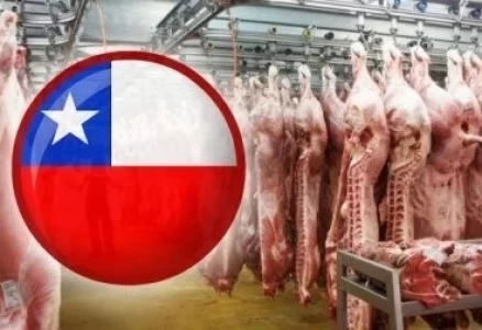 CHILE ABRE SU MERCADO A LA CARNE BOVINA PROCEDENTE DE COLOMBIA