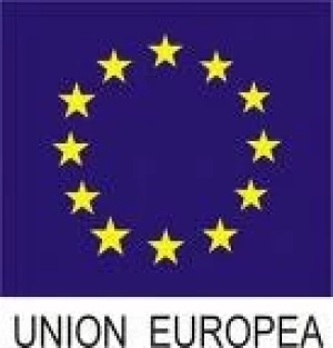 UE : EL PRECIO DE LA CARNE EXPORTADA POR BRASIL SUBIO UN 38 %