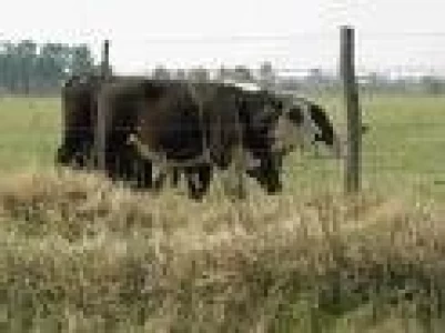 ARGENTINA: BLOCK-TEST DE LA REGION CENTRO