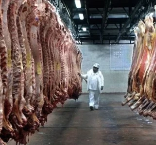 LA MESA DE LA CARNE APUNTA A UN SISTEMA DE CONTROL DE INOCUIDAD EN FRIGORÍFICOS