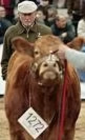 ARGENTINA: LA RURAL COMIENZA  EL 24 DE JULIO