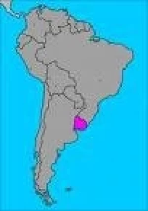 II SEMINARIO INTERNACIONAL BIENESTAR ANIMAL