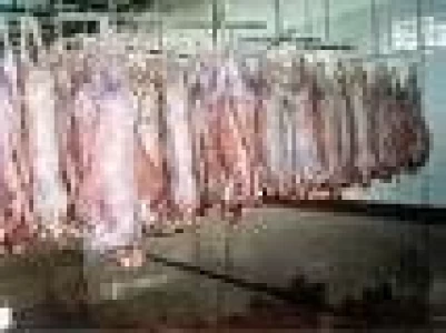 URUGUAY INICIARÍA ANTES DE DICIEMBRE LAS EXPORTACIONES DE CARNE OVINA A MÉXICO