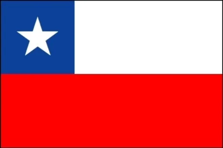 CHILE: EXPORTARA CARNE AVIAR A SUDAFRICA