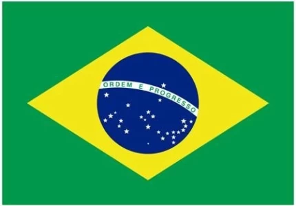 BRASIL AL TOPE DEL RANKING DE EXPORTACION DE CARNE BOVINA