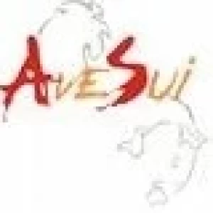 AVESUI AMERICA LATINA 2008