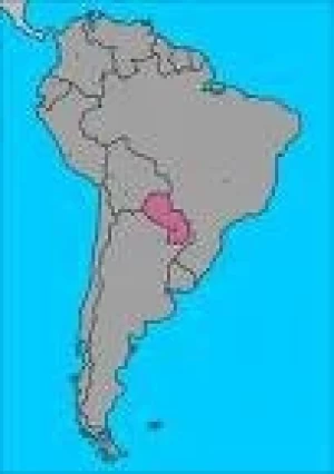 PARAGUAY ESPERA REABRIR EN EL 2008 LOS MERCADOS DE CARNE DE EUROPA Y EE.UU