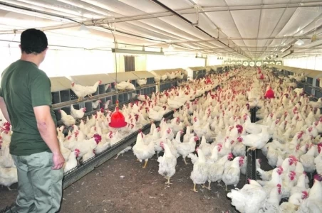 SENACSA ABRE UN NUEVO MERCADO PARA LA AVICULTURA DE PARAGUAY