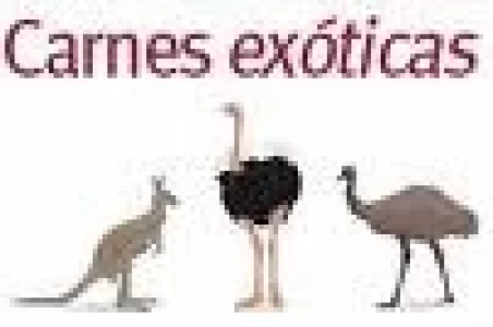 CARNES EXOTICAS: RUTA DE MANJARES