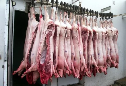 ARGENTINA PORCINOS: SE ASOCIAN PARA CRECER