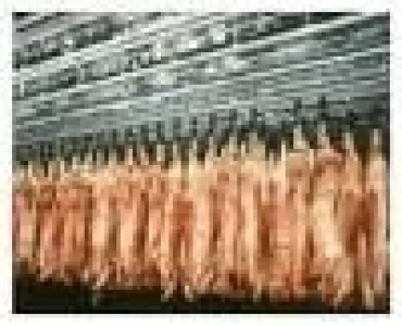 RECORD DE EXPORTACION DE CARNE VACUNA