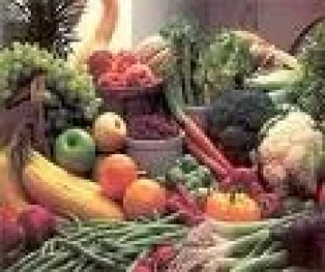 URUGUAY: SEMINARIO TENDENCIAS EN RELACIÓN CON LA TEXTURA DE ALIMENTOS