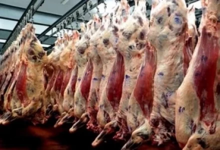 ARGENTINA TRABAJA PARA FORTALECER COMERCIO EXTERIOR CÁRNICO CON CHINA