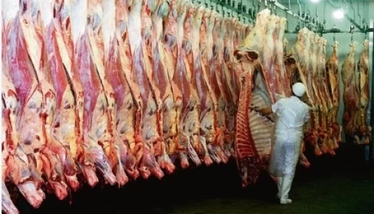 BRASIL COLOCÓ EN OCTUBRE MÁS DE 36.000 TON. DE CARNE VACUNA A CHINA