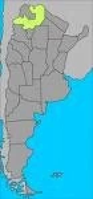ARGENTINA: COMIENZA LA  MUESTRA RURAL SALTEÑA
