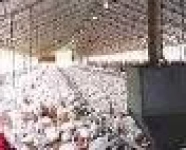 MÁS DE U$S 66 MILLONES EN EXPORTACIÓN DE CARNE AVIAR DURANTE EL PRIMER SEMESTRE