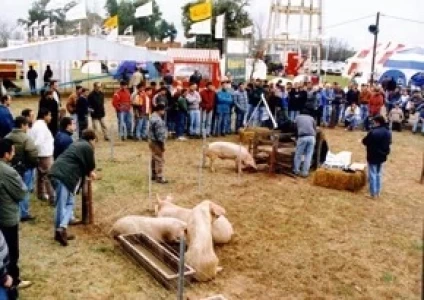 LLEGA FERICERDO 2007