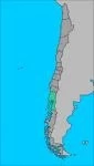 CHILE:ACUICULTURA EN ALZA