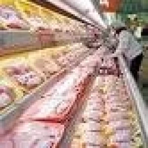 MÁS DE U$S 49 MILLONES EN EXPORTACIONES DE CARNES AVIARES