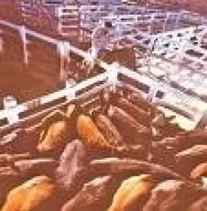 PROMETEN SUBSIDIOS AL MERCADO DE LINIERS