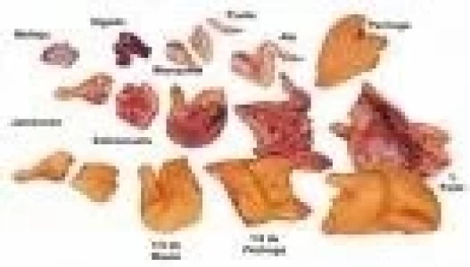 COMPENSACIONES PARA FRIGORÍFICOS AVÍCOLAS