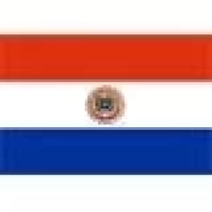 PARAGUAY: LA EXPORTACIÓN DE LA CARNE SUPERÓ LOS US$. 505 MILLONES EN EL 2006