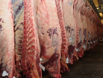ARGENTINA: COMIENZA A RECUPERARSE LA FAENA VACUNA