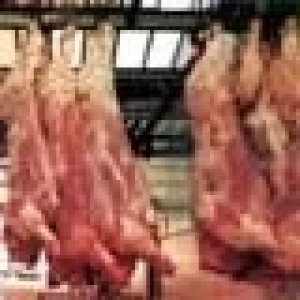 TECNOLOGÍA DE LA INDUSTRIA DE LA CARNE DE NUEVA ZELANDIA EN ARGENTINA Y URUGUAY