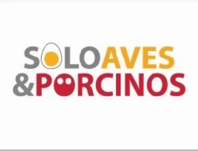 PRODUCTOS Y SERVICIOS DE LAS EMPRESAS DEL SECTOR