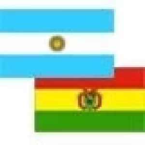 EL SENASA BRINDÓ COOPERACIÓN TÉCNICO AL SENASAG DE BOLIVIA SOBRE VACA LOCA